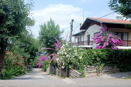 Tour image 6