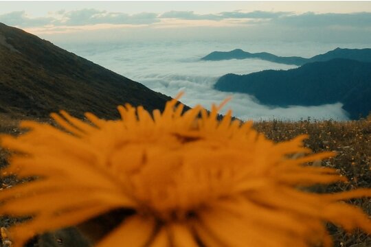 Tour image 6